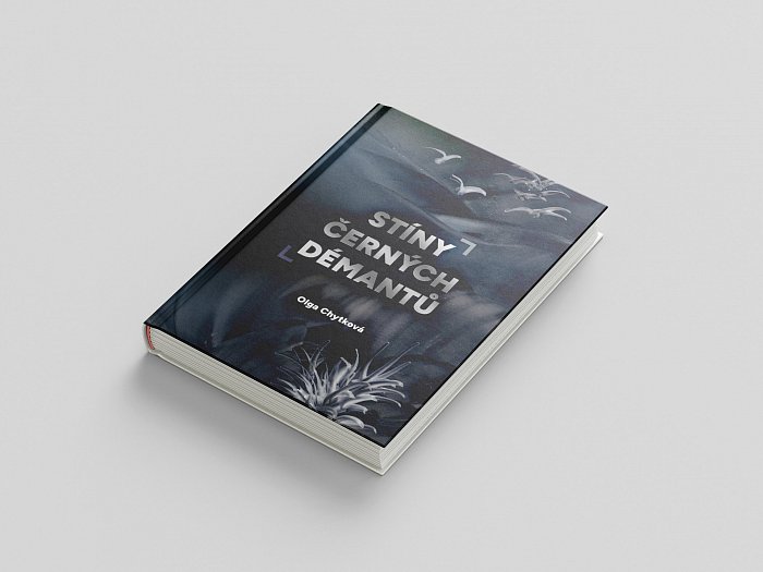 Grafický návrh přebalu knihy