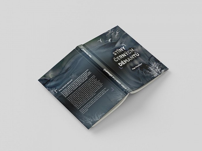 Grafický návrh přebalu knihy